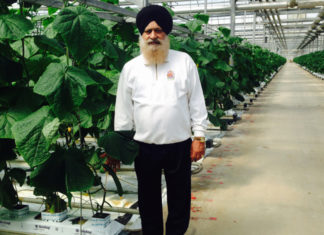 Paramjit Singh cucumber king