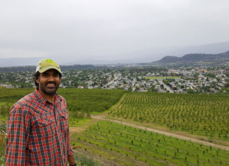 Cherry farmer Sukhpaul Bal of Kelowna in British Columbia