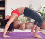 shobhita rana sexy pose