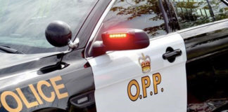 Caledon gas station theft