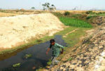 Saraswati river