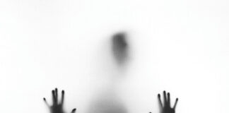 Sex exploitation of international students in canada