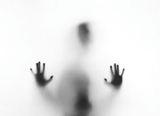 Sex exploitation of international students in canada